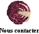 Nous contacter