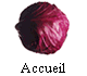 Accueil